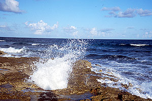 wave-splash.jpg (35283 bytes)